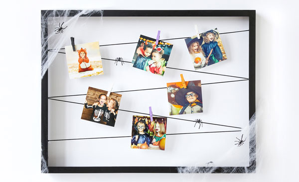 Completed spider web photo display with plastic spiders hanging on strig and spider web cotton draped on frame