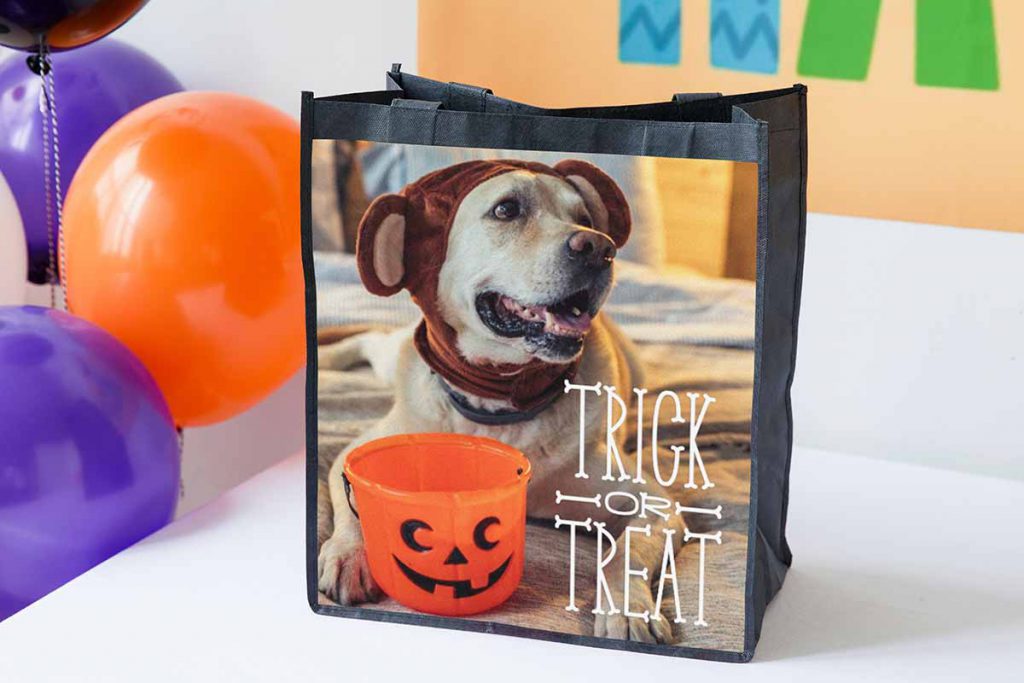 Canvas bag designed with text that says "Trick or Treat" and a photo of a dog in a bear costume.