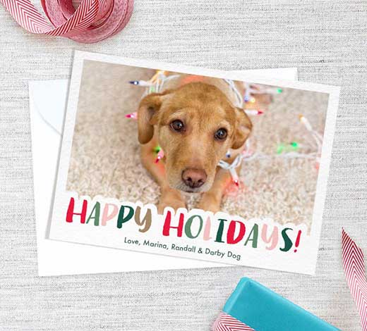 Tips for taking a great holiday photo, Happy Holidays Photo Card with dog
